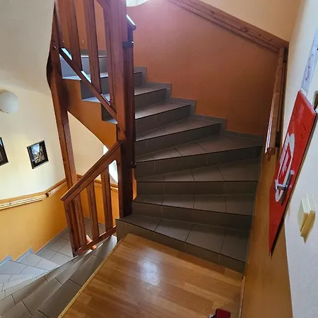 Guest house Magnolia 3*