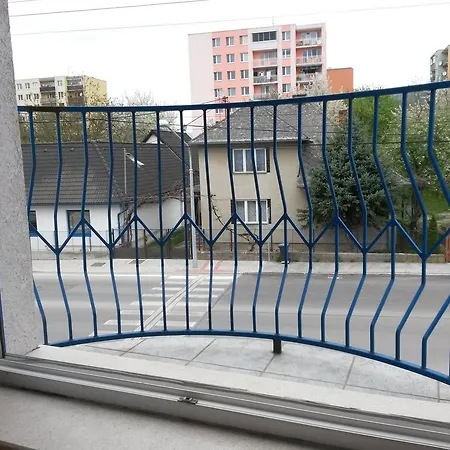 Casa de hóspedes Magnolia 3*