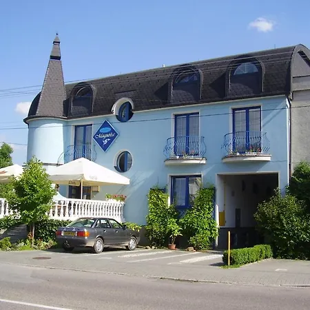 Guest house Magnolia 3*