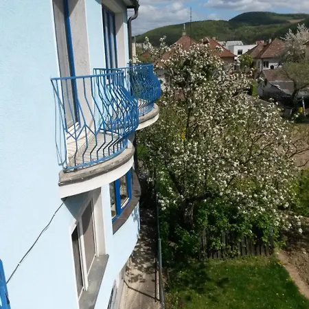 Magnolia * Trencin
