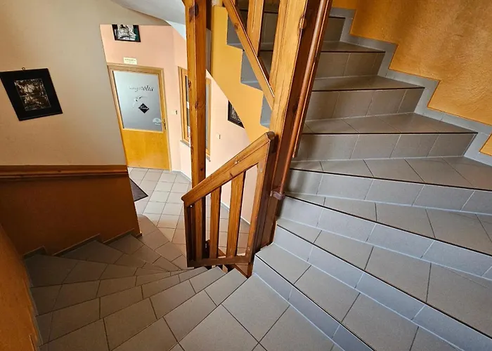 Magnolia Πανσιόν Trenčín