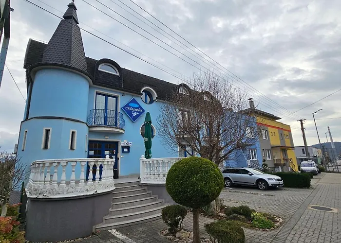 Πανσιόν Magnolia