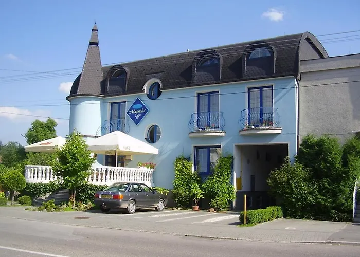 Guest house Magnolia 3*